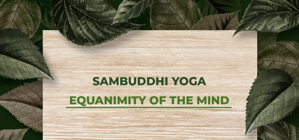 Sambuddhi Yoga Equanimity of the Mind