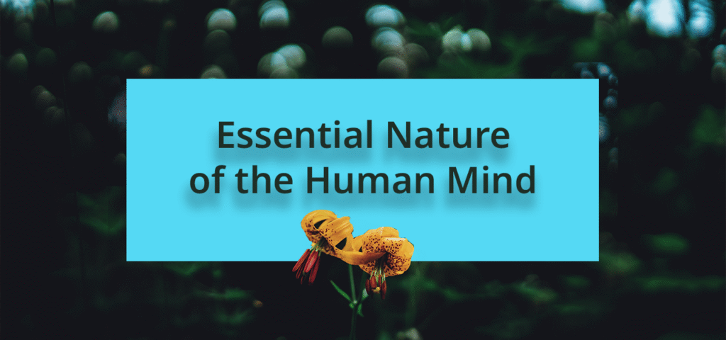 Essential Nature of the Human Mind